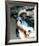 Alan Jackson-null-Framed Photo