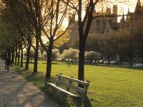 Midway Plaisance at University of Chicago, Chicago, Illinois, USA-Alan Klehr-Photographic Print