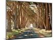 Premium Photographic Print