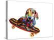 Stretched Canvas Print