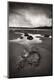Premium Photographic Print