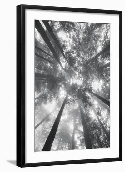 Photo, , large