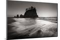 Photographic Print