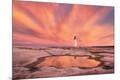 Photographic Print