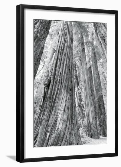 Photo, , large