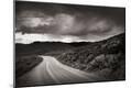Photographic Print
