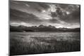Photographic Print