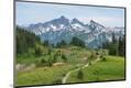 Photographic Print