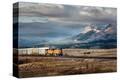 Stretched Canvas Print