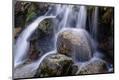 Photographic Print