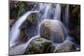 Photographic Print