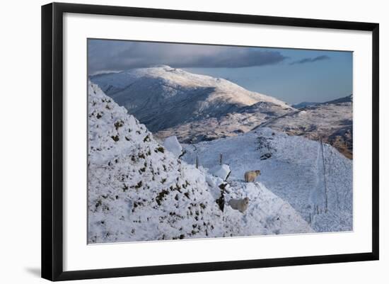 Photographic Print, , large