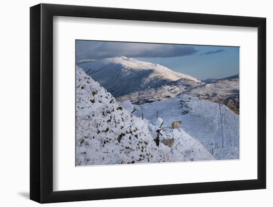 Photographic Print, , large