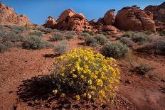 Windstone Arch (The Fire Cave), Valley of Fire State Park, Nevada, United States of America-Alan Novelli-Photographic Print