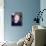 Alan Rickman-null-Framed Stretched Canvas displayed on a wall