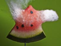 Watermelon Explosion-Alan Sailer-Photographic Print