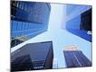 Premium Photographic Print