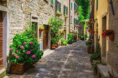 Italian Street in A Small Provincial Town of Tuscan-Alan64-Photographic Print