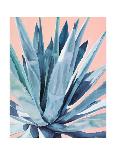 Agave with Coral-Alana Clumeck-Art Print