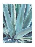 Agave with Coral-Alana Clumeck-Mounted Art Print