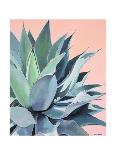 Agave with Coral-Alana Clumeck-Art Print