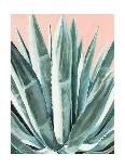 Agave with Coral-Alana Clumeck-Framed Art Print