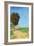 Alane Near Arles-Vincent van Gogh-Framed Art Print