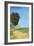 Alane Near Arles-Vincent van Gogh-Framed Art Print