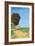 Alane Near Arles-Vincent van Gogh-Framed Art Print