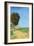 Alane Near Arles-Vincent van Gogh-Framed Art Print