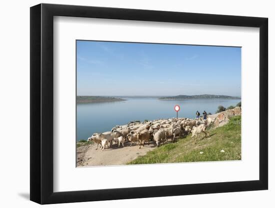 Alange, Badajoz, Extremadura, Spain, Europe-Michael Snell-Framed Photographic Print