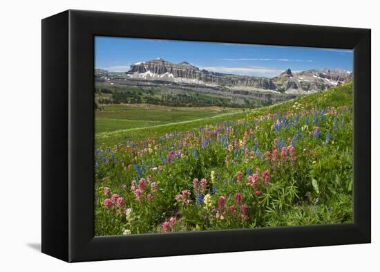 Alaska Basin Wildflower Meadow, Caribou -Targhee Nf, WYoming-Howie Garber-Framed Premier Image Canvas