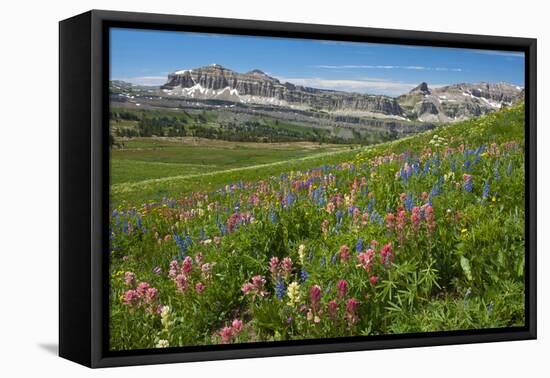 Alaska Basin Wildflower Meadow, Caribou -Targhee Nf, WYoming-Howie Garber-Framed Premier Image Canvas