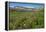 Alaska Basin Wildflower Meadow, Caribou -Targhee Nf, WYoming-Howie Garber-Framed Premier Image Canvas