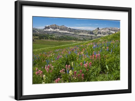 Alaska Basin Wildflower Meadow, Caribou -Targhee Nf, WYoming-Howie Garber-Framed Photographic Print