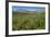 Alaska Basin Wildflower Meadow, Caribou -Targhee Nf, WYoming-Howie Garber-Framed Photographic Print