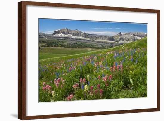 Alaska Basin Wildflower Meadow, Caribou -Targhee Nf, WYoming-Howie Garber-Framed Photographic Print