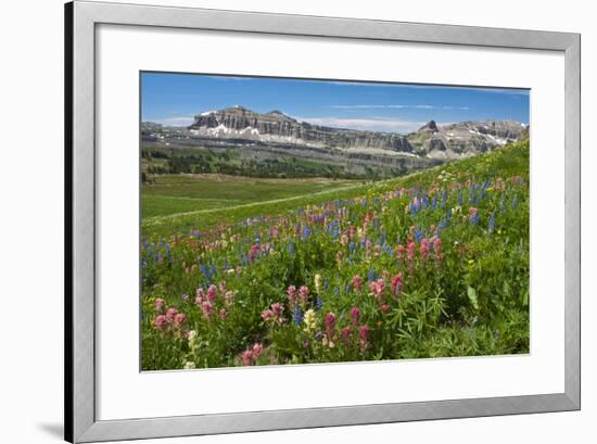 Alaska Basin Wildflower Meadow, Caribou -Targhee Nf, WYoming-Howie Garber-Framed Photographic Print