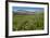 Alaska Basin Wildflower Meadow, Caribou -Targhee Nf, WYoming-Howie Garber-Framed Photographic Print