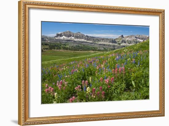 Alaska Basin Wildflower Meadow, Caribou -Targhee Nf, WYoming-Howie Garber-Framed Photographic Print