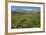 Alaska Basin Wildflower Meadow, Caribou -Targhee Nf, WYoming-Howie Garber-Framed Photographic Print