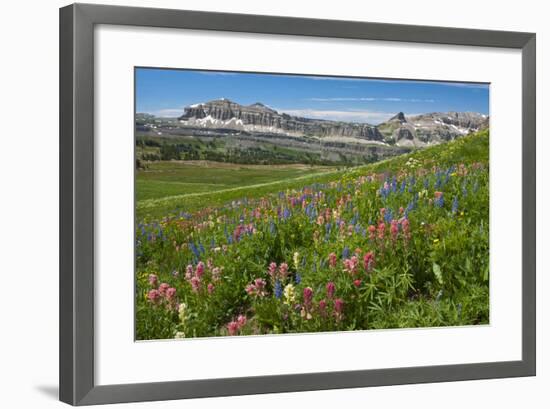 Alaska Basin Wildflower Meadow, Caribou -Targhee Nf, WYoming-Howie Garber-Framed Photographic Print