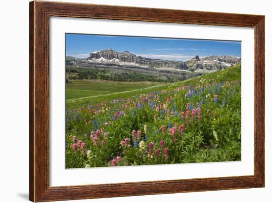 Alaska Basin Wildflower Meadow, Caribou -Targhee Nf, WYoming-Howie Garber-Framed Photographic Print