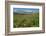 Alaska Basin Wildflower Meadow, Caribou -Targhee Nf, WYoming-Howie Garber-Framed Photographic Print