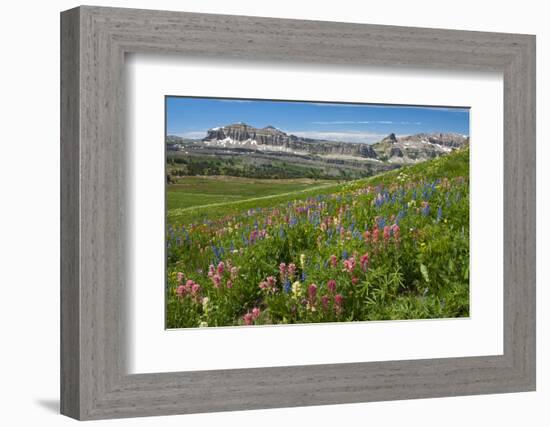 Alaska Basin Wildflower Meadow, Caribou -Targhee Nf, WYoming-Howie Garber-Framed Photographic Print