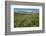 Alaska Basin Wildflower Meadow, Caribou -Targhee Nf, WYoming-Howie Garber-Framed Photographic Print