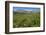 Alaska Basin Wildflower Meadow, Caribou -Targhee Nf, WYoming-Howie Garber-Framed Photographic Print