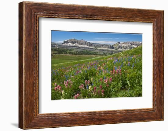 Alaska Basin Wildflower Meadow, Caribou -Targhee Nf, WYoming-Howie Garber-Framed Photographic Print