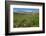 Alaska Basin Wildflower Meadow, Caribou -Targhee Nf, WYoming-Howie Garber-Framed Photographic Print