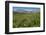 Alaska Basin Wildflower Meadow, Caribou -Targhee Nf, WYoming-Howie Garber-Framed Photographic Print